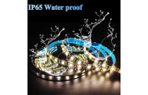 12V IP65 - Ūdensdroša LED lenta