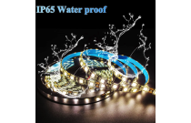 IP65 - Waterproof