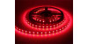 Cena par 1 metru Led Lenta 3528 60 Sarkana IP20 3.5W-m (500Lm)