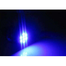 T8,5 5SMD Blue