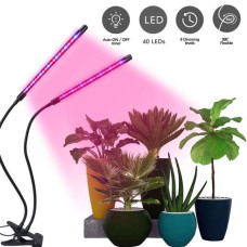 Plant Growing Table Lamp with Clip 12 Watts And 2 Lamps with Dimmer and Timer