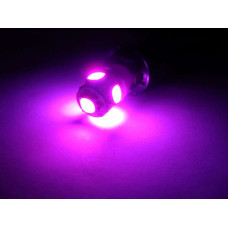 T10 5SMD Purple