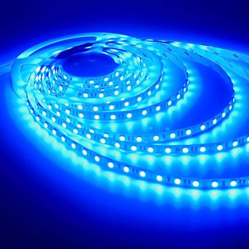 LED strip 24v Blue 5050 / 60SMD IP65 14.4 W / m (800lm)