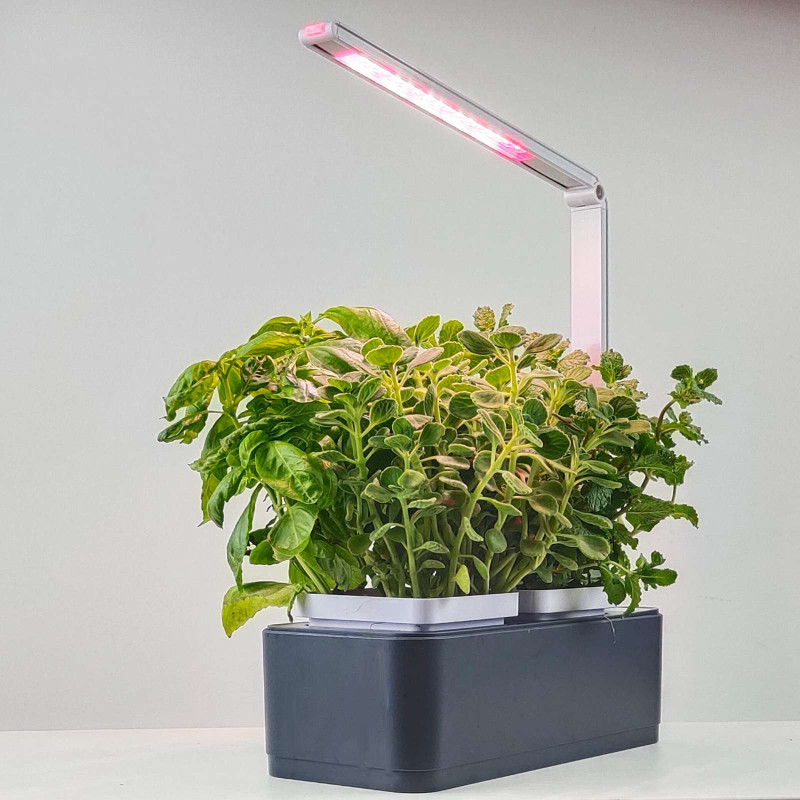 Gudrais Mājas Dārzs Augu Audzēšanai Ar LED Lampu Pelēks