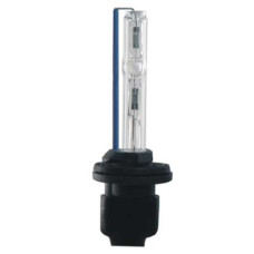 Xenon Bulb 881 6000k