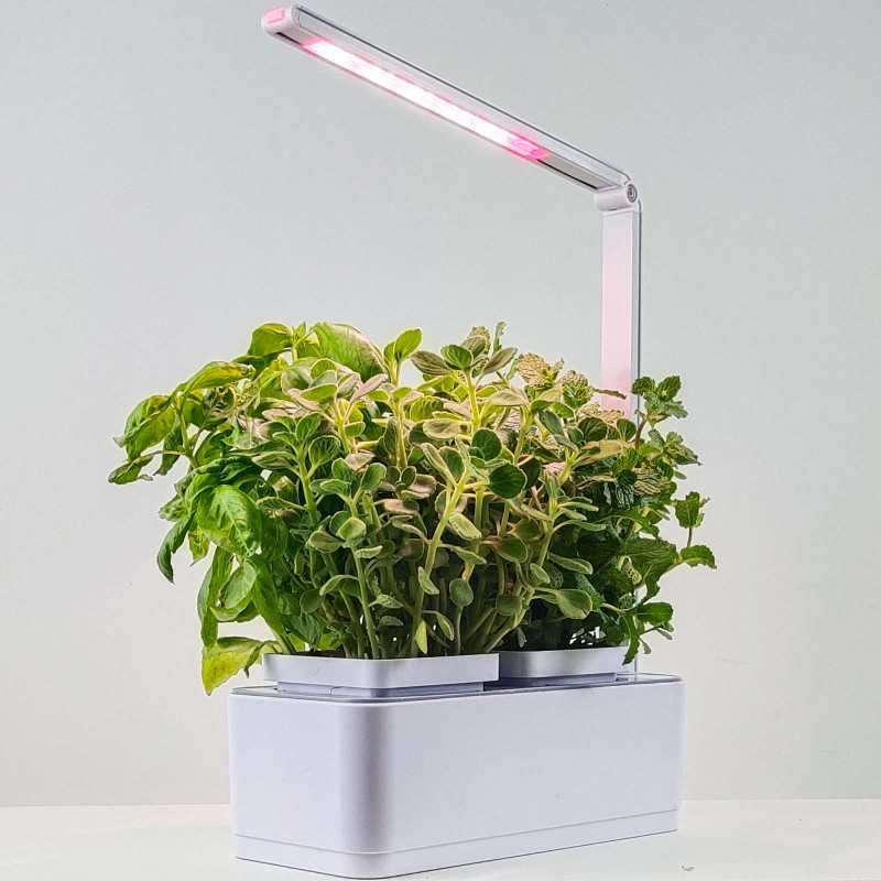 Gudrais Mājas Dārzs Augu Audzēšanai Ar LED Lampu Balts