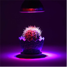 30W E27 LED Plant Growing Bulb Full Spectrum